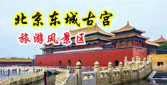 久久骚中国北京-东城古宫旅游风景区